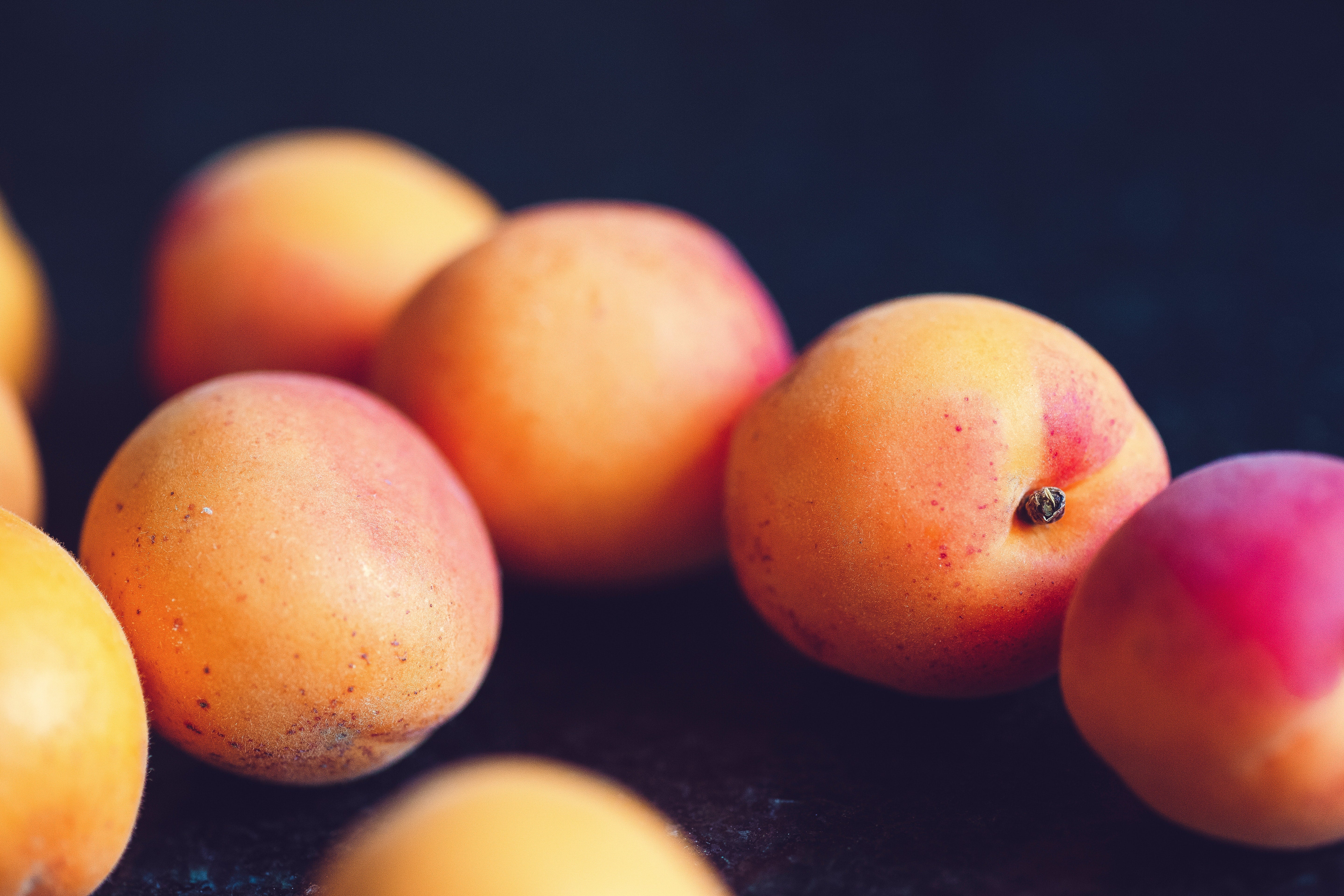 Abricotier Bergeron (Prunus armeniaca Bergeron) - Image 3