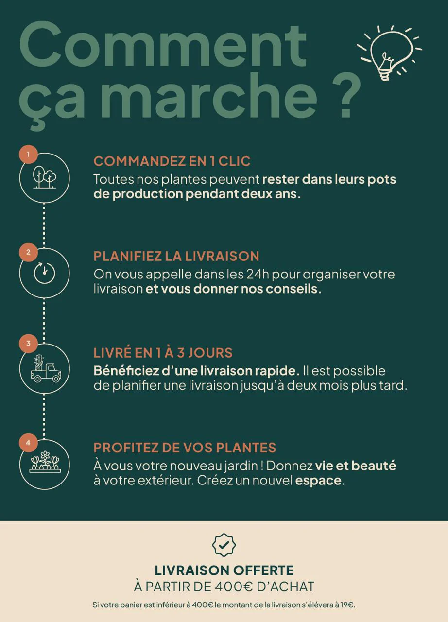 Barrière anti-rhizome - Image 7