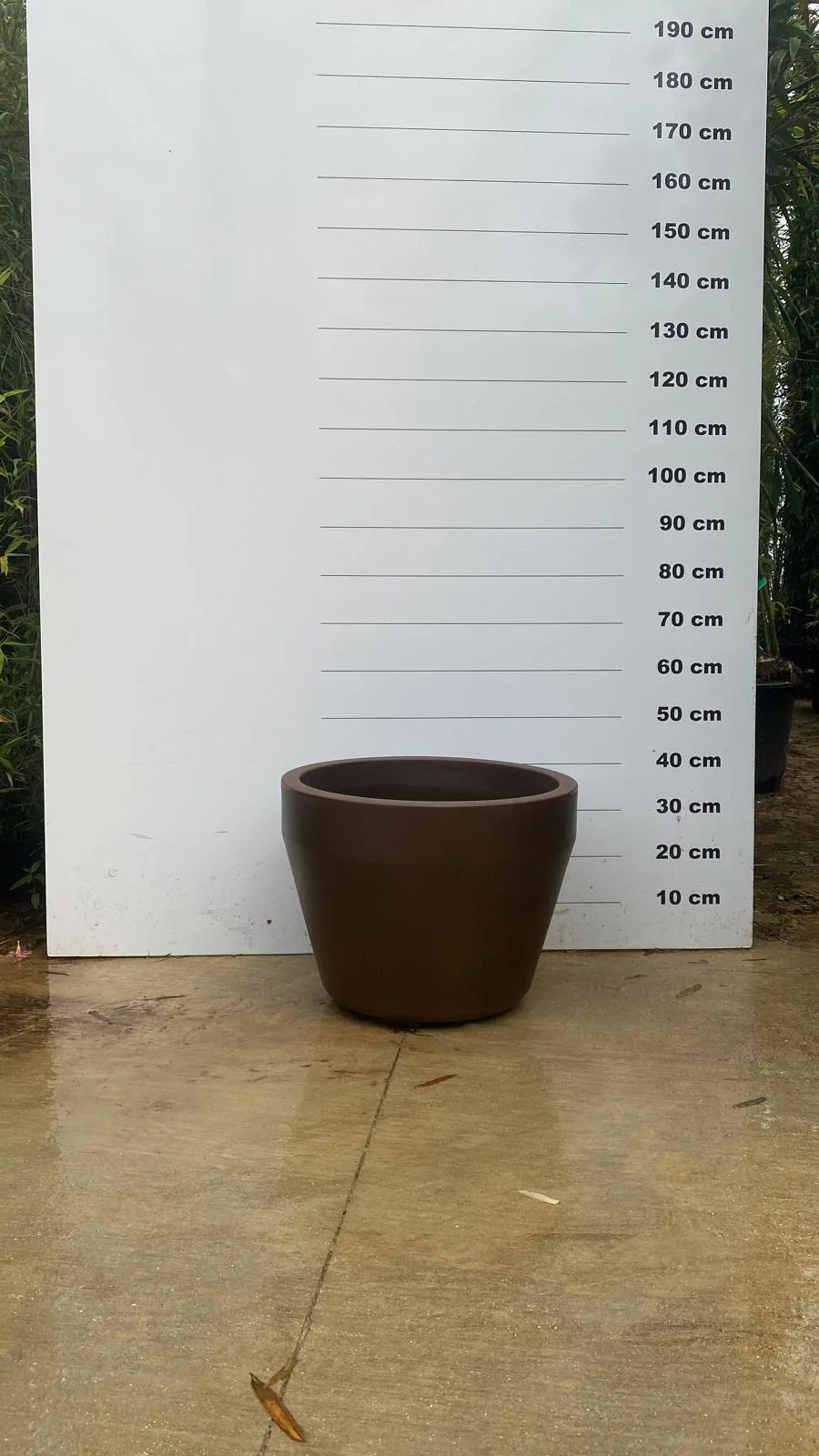 Pot Roma - Image 12