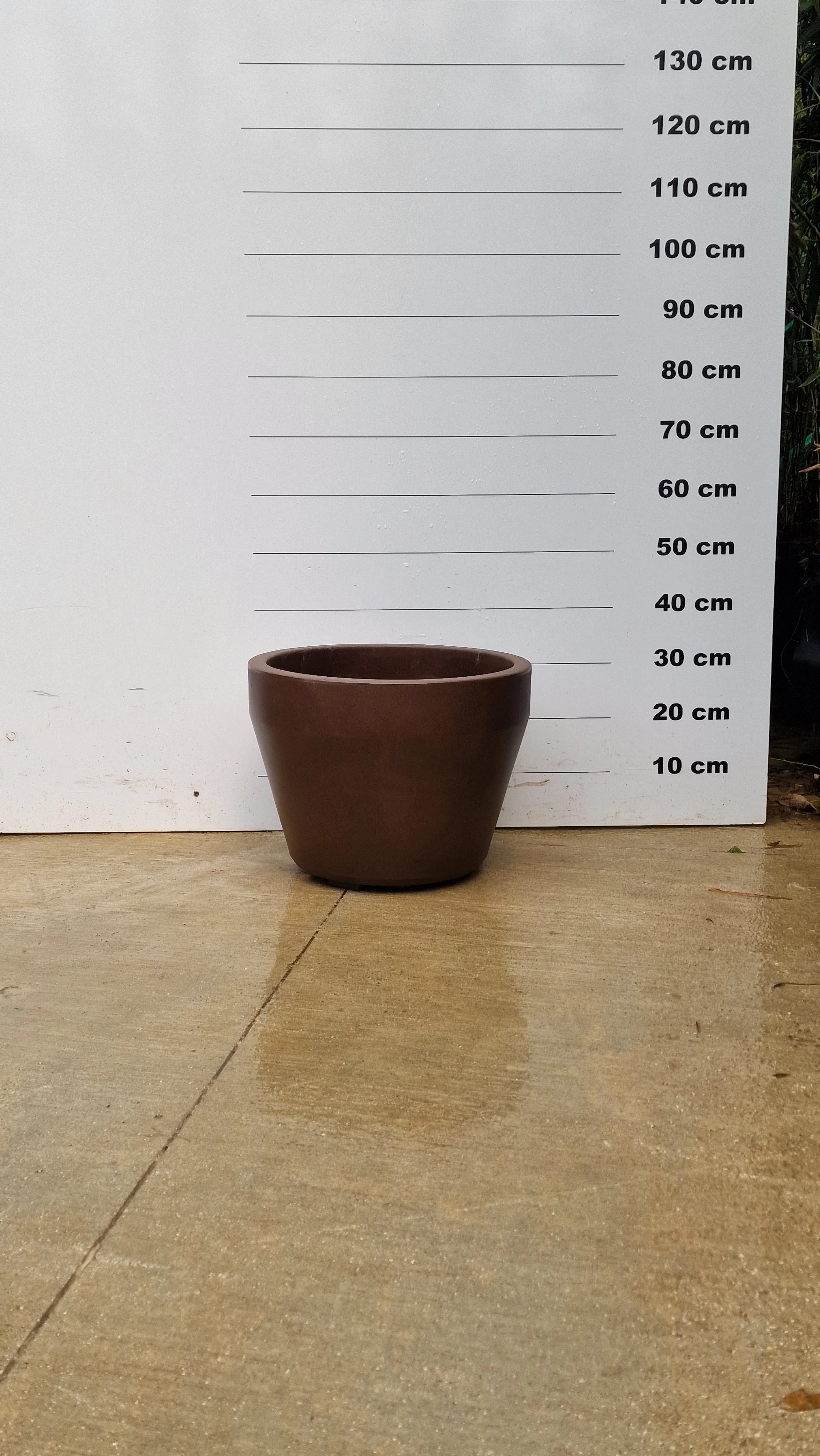 Pot Roma - Image 5