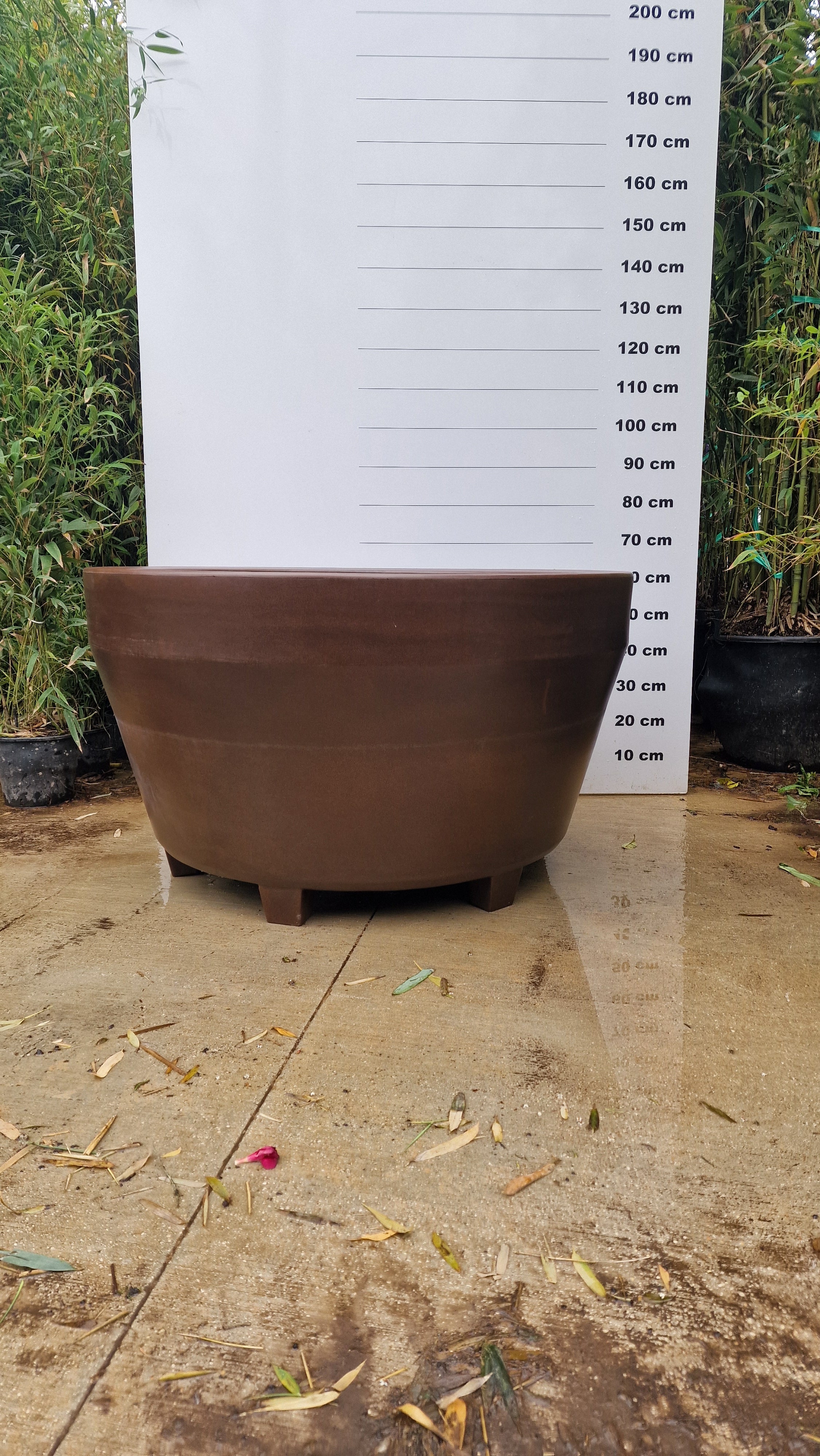 Pot Roma - Image 9