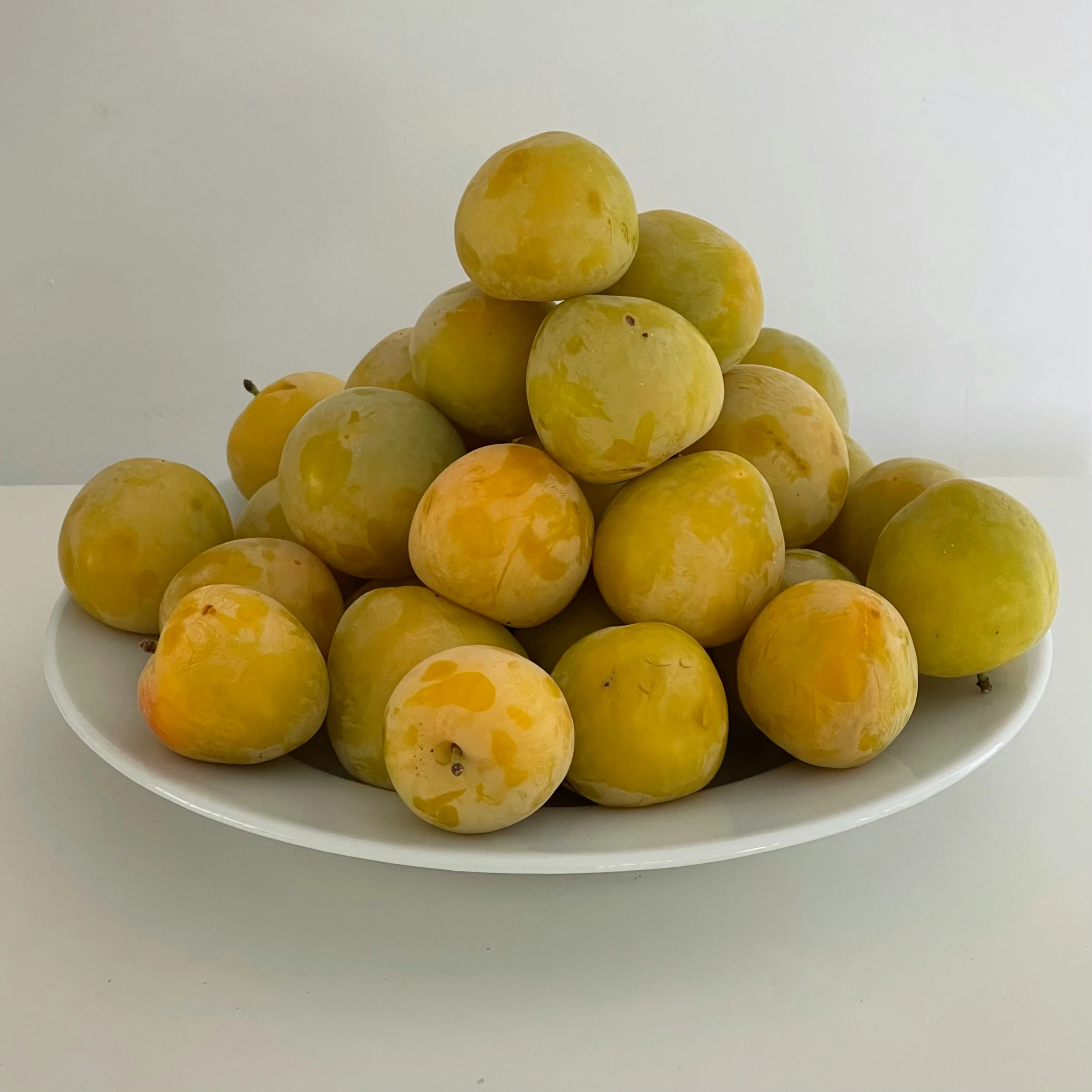 Prunier Mirabelle de Nancy (Prunus x Institiae Mirabelle de Nancy) - Image 3